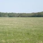 Участок сельхозназначения Переславский район недорого